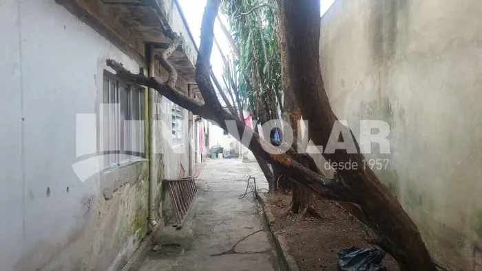 Terreno, Vila Gustavo
