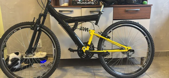 Bicicleta aro16