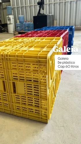 Galeia 67 litros