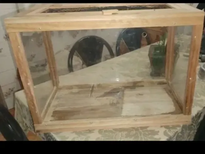 Terrário e caixa de transporte para hamster
