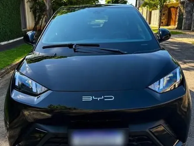 BYD Dolphin Mini (Elétrico) 2024