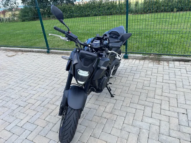 Hornet 500