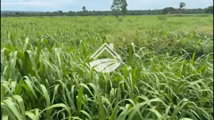 Fazenda para Venda em Araguaína, área rural de ampla expansão agropecuária