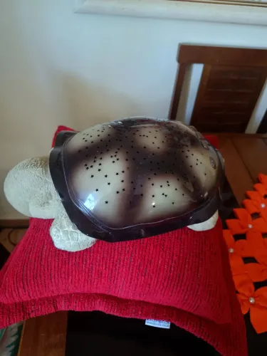 Tartaruga luminária Com Defeito