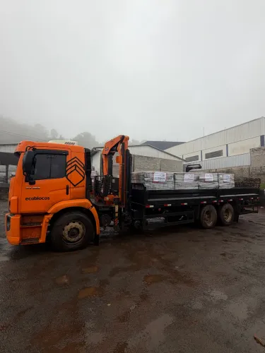 Caminhão Volkswagen 24.250 truck com muck