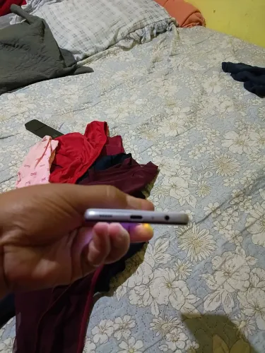 Celular