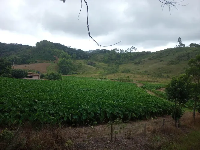 Sítio batatinha minis Freire 4 Alqueires