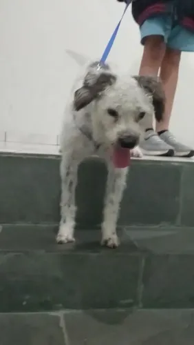 Doa-se encontra-se em santo André