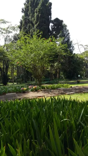 Jazigo no Cemiterio da Paz Morumbi