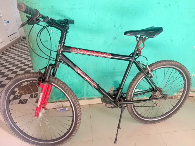 Bicicleta DESAPEGO.