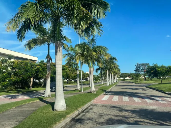 Lote Terras brasilis- Jardins terras 
