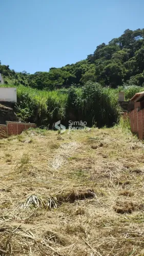 Lote à Venda, centro, Paraíba do Sul, RJ