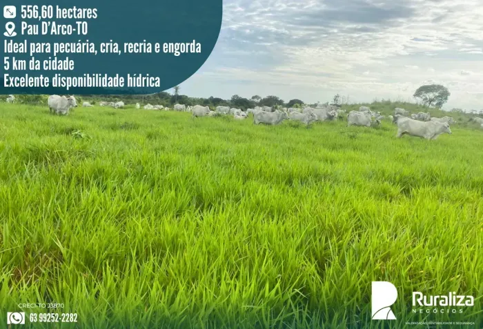 FAZENDA PRONTA PARA CRIA, RECRIA E ENGORDA | APENAS 5 KM DA CIDADE