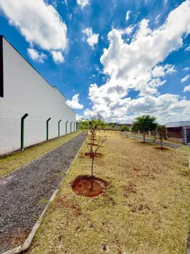 Terreno à venda, 217 m² por R$ 339.000 - Residencial Jardim dos Lírios - Paulínia/SP