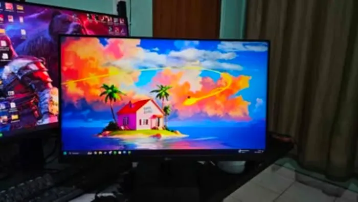 Monitor LG 24" 100hz