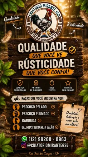 Galinha Sertaneja Balão 