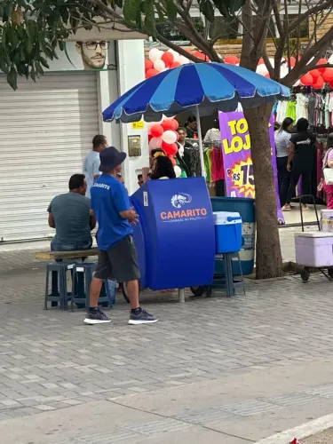 Carrinho Movel em Fibra com Chapa Profissional.