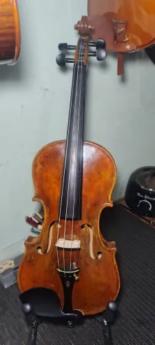 Violino