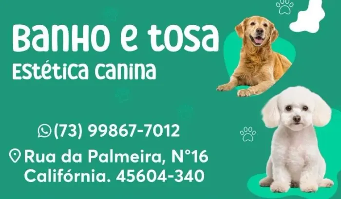 Banho e tosa. Domingos e feridos.