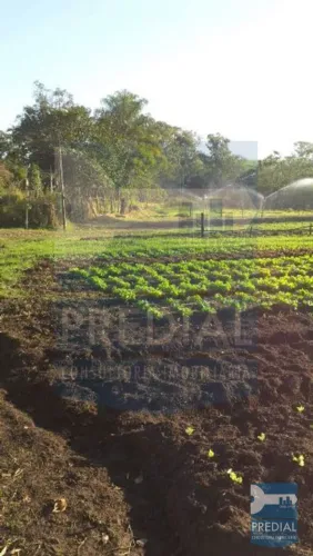 Chácara 0 quarto para Venda Centro, São Carlos