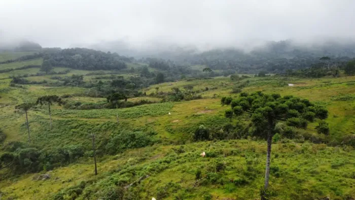 Fazenda para pecuária em Bocaina do Sul.