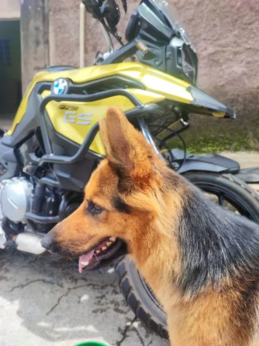 **BMW F 750 GS PREMIUM 2020 - IMPECÁVEL!**