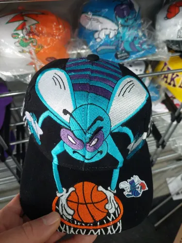 Boné Charlotte Hornets spadem