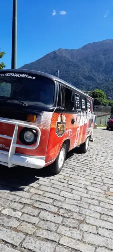 Volkswagen Kombi Standard/ Luxo/ Serie Prata 1995