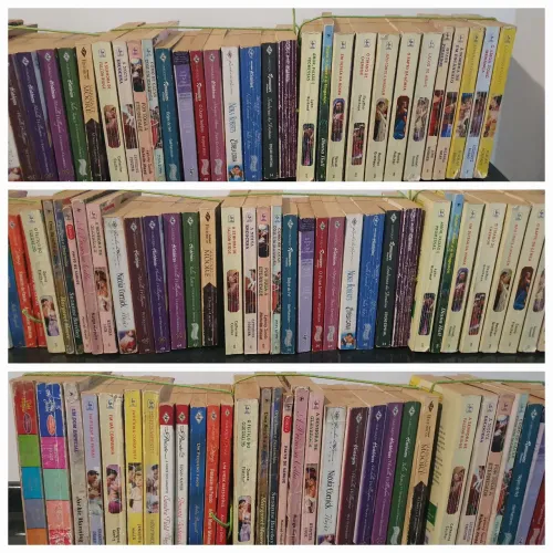 Lote Completo 48 Livros Romance de Época e Harlequin - Kit 2