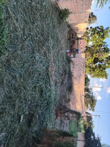 Comprovante de compra e venda