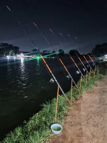 Varas de pesca