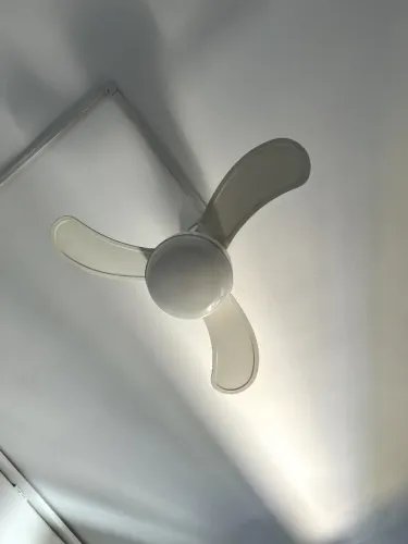 Ventilador de Teto
