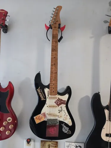 Guitarra Strinberg STS100