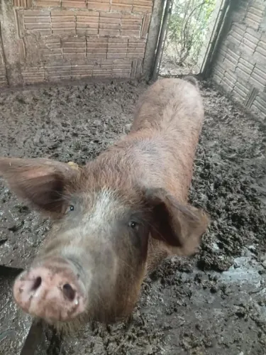 (PADRE NÓBREGA) PV SÓ INTERESSADOS!