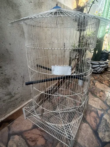 VENDE-SE GAIOLA GRANDE