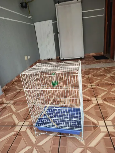 Vendo gaiola pra calopsita 