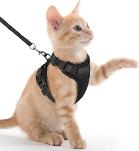 Coleira Peitoral para Gatos à prova de fuga segura ajustável colete para caminhar - Nova