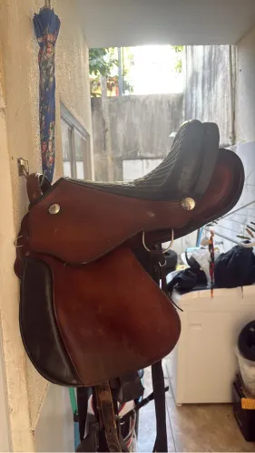 Sela australiana