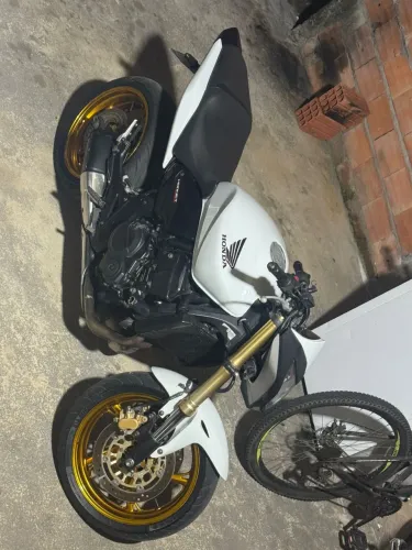 Hornet bem conservada 