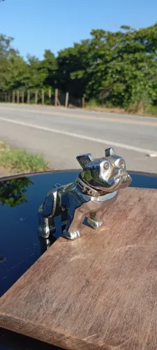 Emblema de capô de caminhão Buit like a mack