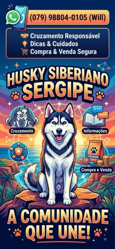 Grupo Husky Sergipe