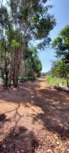 Lotes em Pipa