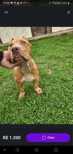 Pit monster