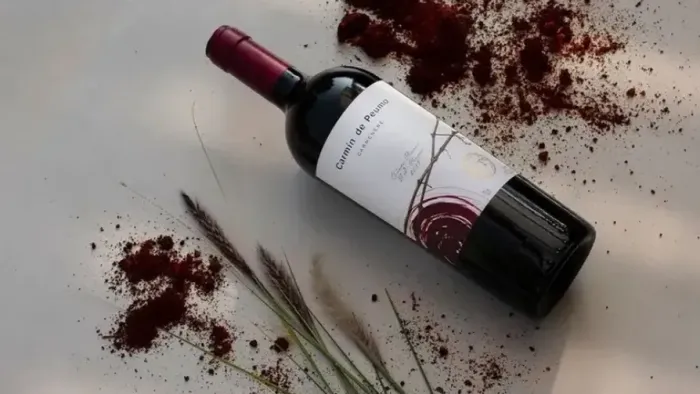 Vinho Carmin de Peumo 2018