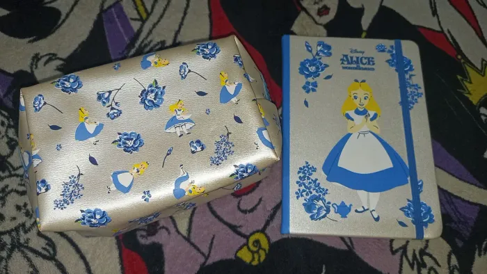 Kit caderneta e estojo Alice