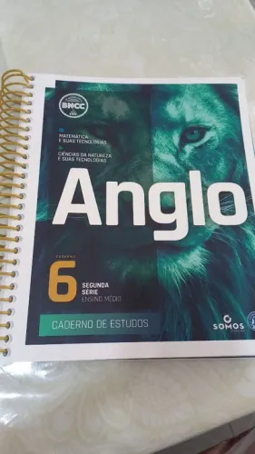 Caderno 6, Segunda Série Ensino Médio Impressão 2024 novo