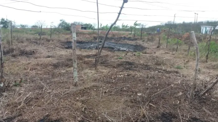Loteamento Jardim Vila Ney - Quitado - (10m X 25m) 250m2