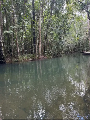 Vende-se sítio - 150m x 700m