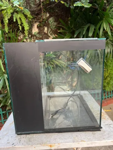 Vendo aquário AFX pronto para uso 40 litros 