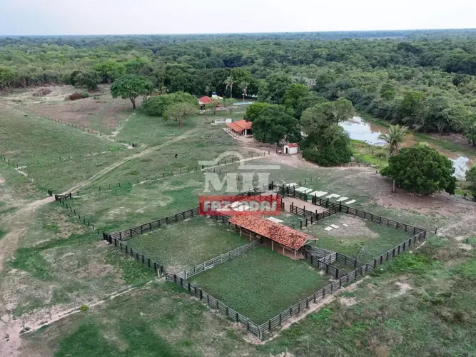 Fazenda 3.847 alqueires (18.619 hectares) Cocalinho - MT